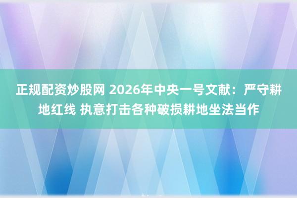 正规配资炒股网 2026年中央一号文献：严守耕地红线 执意打击各种破损耕地坐法当作