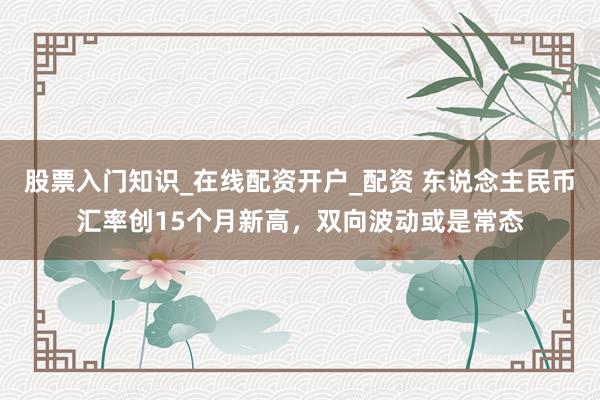 股票入门知识_在线配资开户_配资 东说念主民币汇率创15个月新高，双向波动或是常态