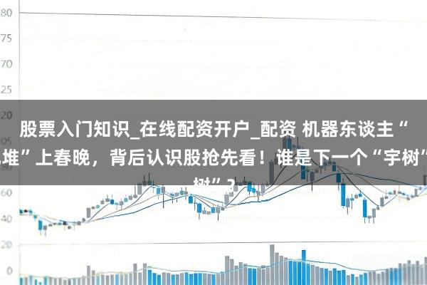 股票入门知识_在线配资开户_配资 机器东谈主“扎堆”上春晚，背后认识股抢先看！谁是下一个“宇树”？
