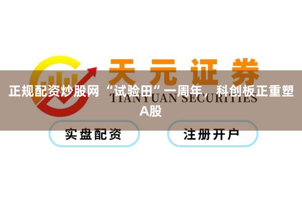 正规配资炒股网 “试验田”一周年，科创板正重塑A股