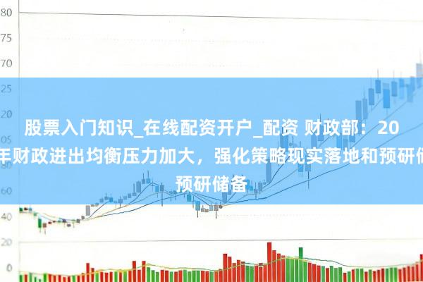 股票入门知识_在线配资开户_配资 财政部：2026年财政进出均衡压力加大，强化策略现实落地和预研储备