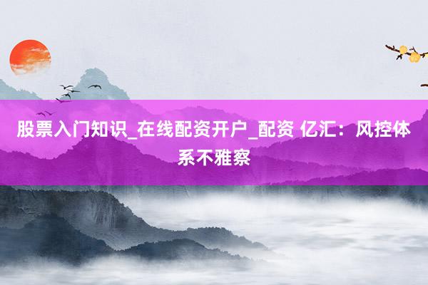 股票入门知识_在线配资开户_配资 亿汇：风控体系不雅察
