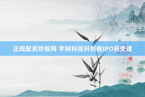 正规配资炒股网 宇树科技科创板IPO获受理