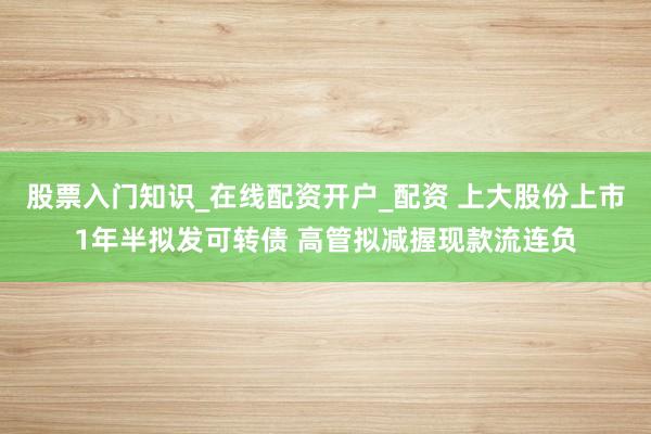 股票入门知识_在线配资开户_配资 上大股份上市1年半拟发可转债 高管拟减握现款流连负