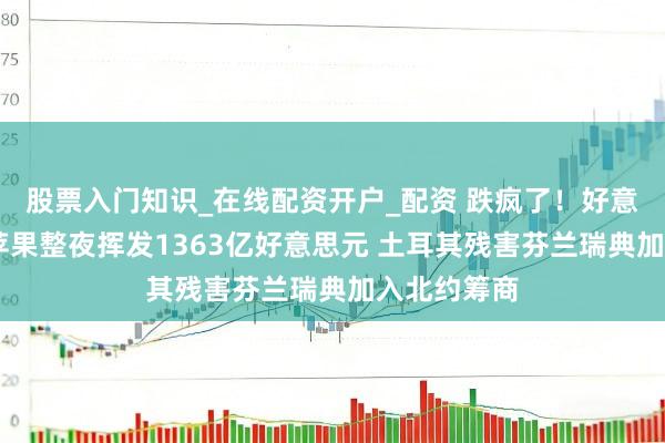 股票入门知识_在线配资开户_配资 跌疯了！好意思股大跌 苹果整夜挥发1363亿好意思元 土耳其残害芬兰瑞典加入北约筹商