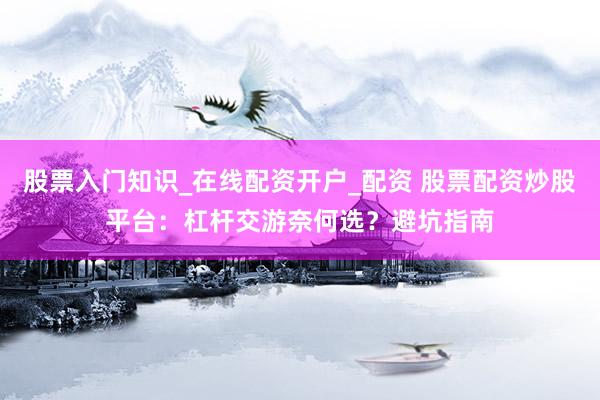 股票入门知识_在线配资开户_配资 股票配资炒股平台：杠杆交游奈何选？避坑指南