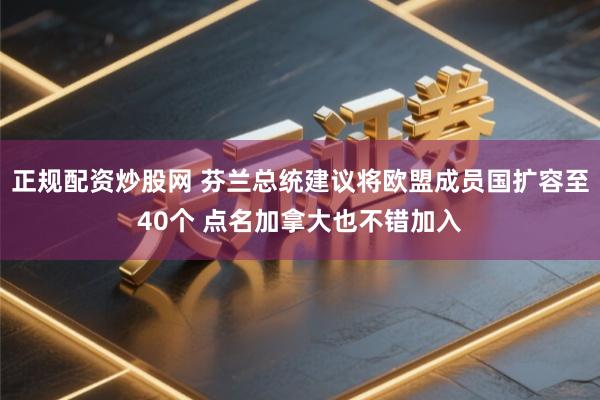 正规配资炒股网 芬兰总统建议将欧盟成员国扩容至40个 点名加拿大也不错加入