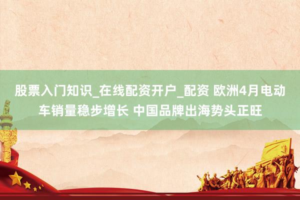 股票入门知识_在线配资开户_配资 欧洲4月电动车销量稳步增长 中国品牌出海势头正旺