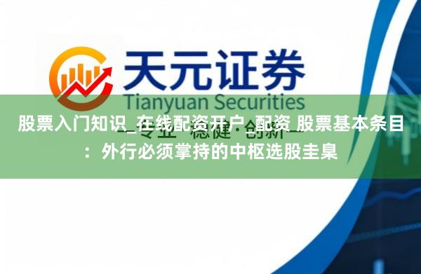 股票入门知识_在线配资开户_配资 股票基本条目：外行必须掌持的中枢选股圭臬