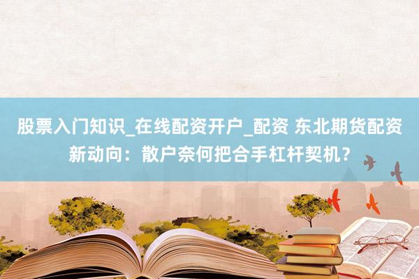 股票入门知识_在线配资开户_配资 东北期货配资新动向：散户奈何把合手杠杆契机？